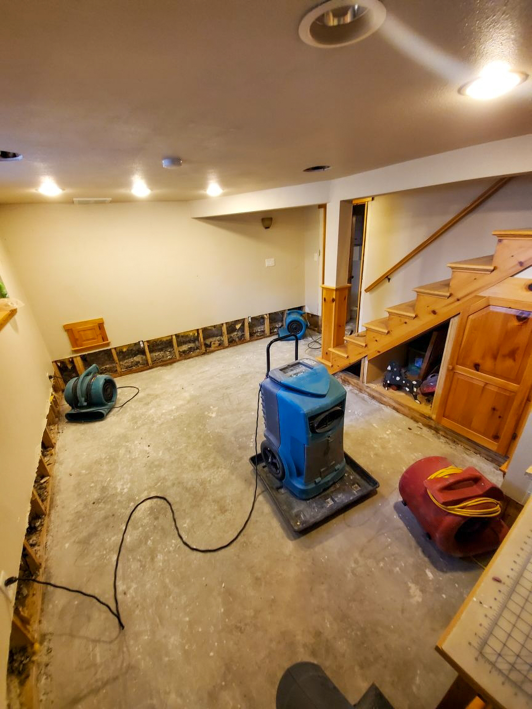 Mold Removal